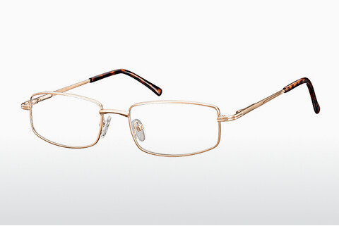 Óculos de design Fraymz 799 E