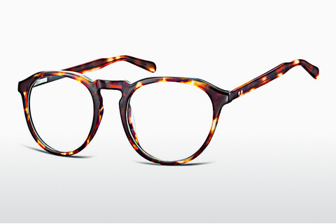 Óculos de design Fraymz AC21 E