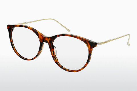Óculos de design Scotch and Soda 503002 104