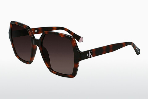 Óculos de marca Calvin Klein CKJ21629S 240