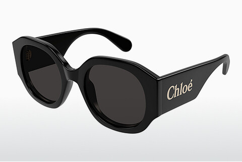 Óculos de marca Chloé CH0234S 001