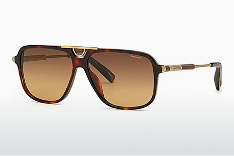 Óculos de marca Chopard SCH340 786P