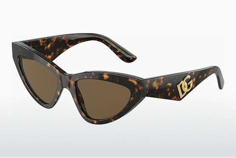 Óculos de marca Dolce & Gabbana DG4439 502/73