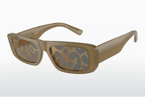 Óculos de marca Emporio Armani EA4229U 6121TO