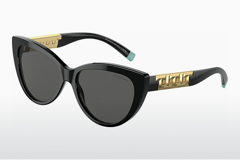 Óculos de marca Tiffany TF4196 8001S4