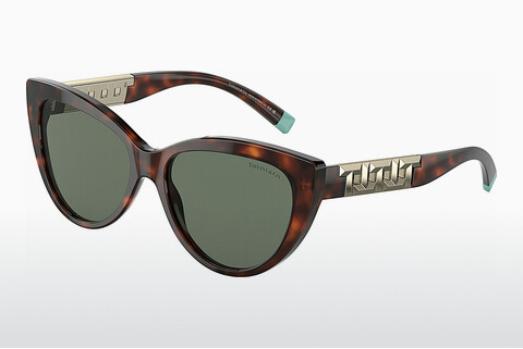 Óculos de marca Tiffany TF4196 80023H