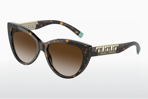 Óculos de marca Tiffany TF4196 80153B