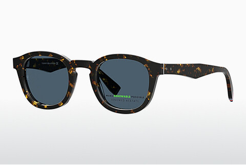 Óculos de marca Tommy Hilfiger TH 2031/S 086/KU