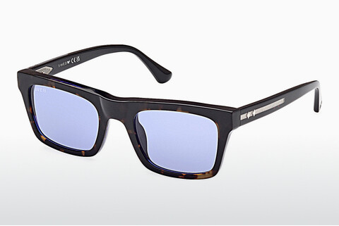 Óculos de marca Web Eyewear WE0362 56V