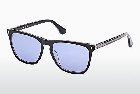 Óculos de marca Web Eyewear WE0363 05V
