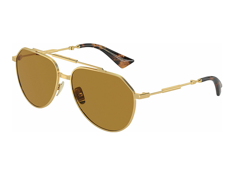 Óculos de marca Dolce & Gabbana DG2302 02/53