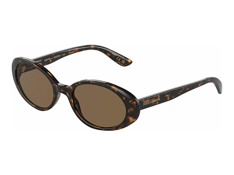 Óculos de marca Dolce & Gabbana DG4443 502/73