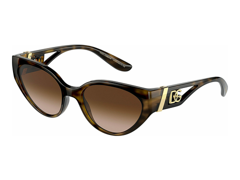 Óculos de marca Dolce & Gabbana DG6146 502/13