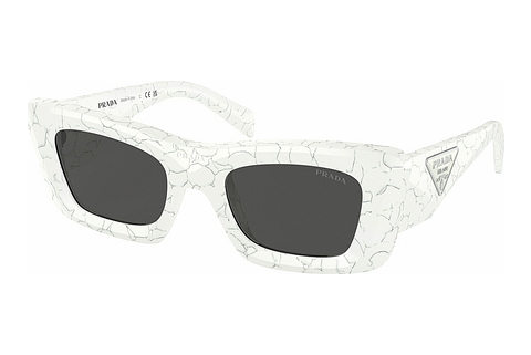 Óculos de marca Prada PR 13ZS 17D5S0