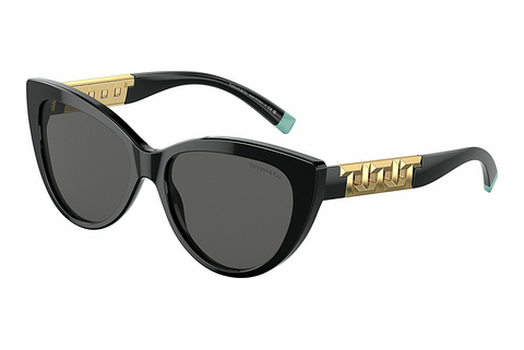 Óculos de marca Tiffany TF4196 8001S4