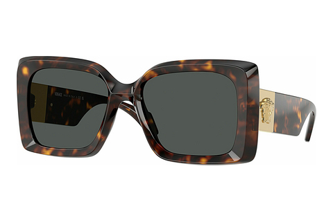 Óculos de marca Versace VE4467U 108/87