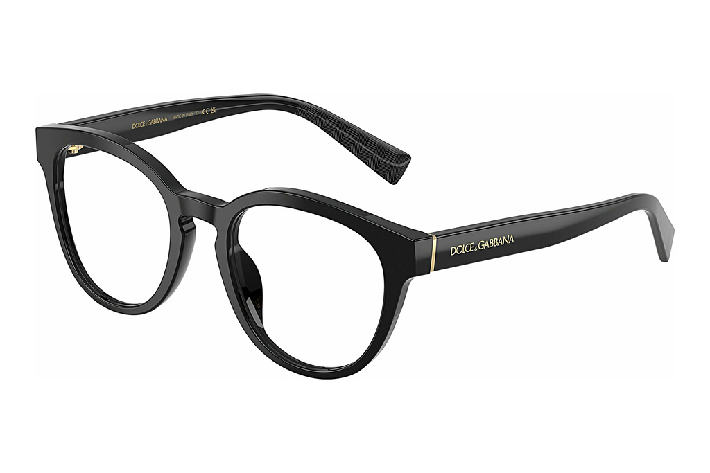 Dolce & Gabbana   DG3421 501 Black