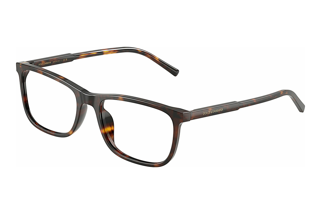 Dolce & Gabbana   DG3427 502 Havana