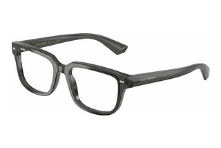 Dolce & Gabbana DG3380 3160 Transparent Grey