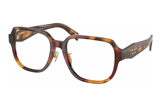 Prada PR B07VD 22A1O1 Poppy Tortoise/Bordeaux