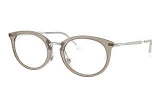 Ray-Ban RX7255 8125 Transparent Grey