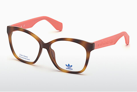 Óculos de design Adidas Originals OR5017 053