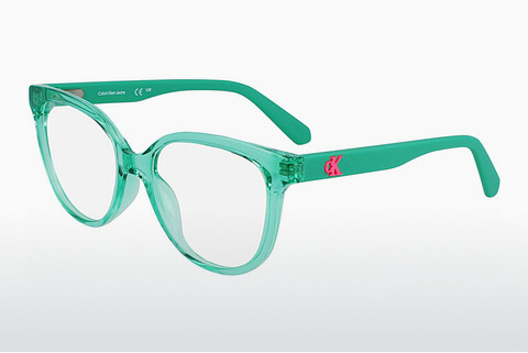 Óculos de design Calvin Klein CKJ23303 300