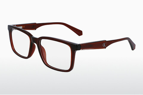 Óculos de design Calvin Klein CKJ23617 210