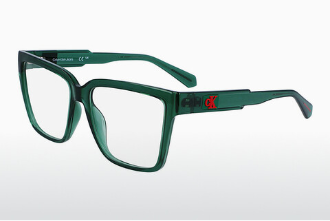 Óculos de design Calvin Klein CKJ23625 300