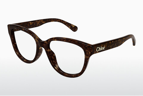 Óculos de design Chloé CH0243O 002