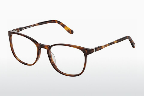 Óculos de design Lozza VL4202 0752