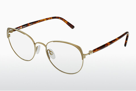 Óculos de design Rodenstock R7088 C