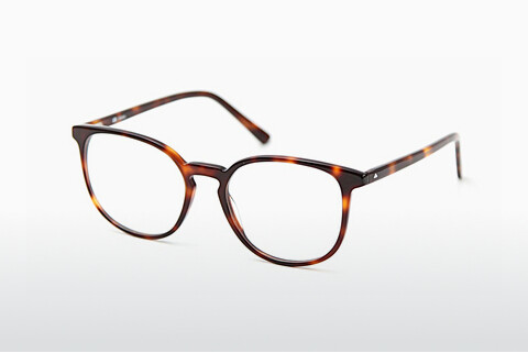 Óculos de design Sur Classics Emma (12514 havana)