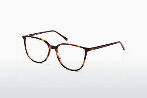 Óculos de design Sur Classics Vivienne (12516 havana)