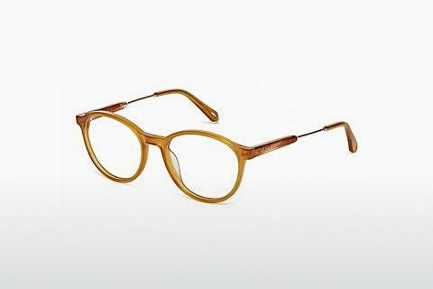 Óculos de design Ted Baker 8228 330