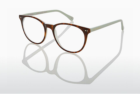 Óculos de design Ted Baker 9126 521