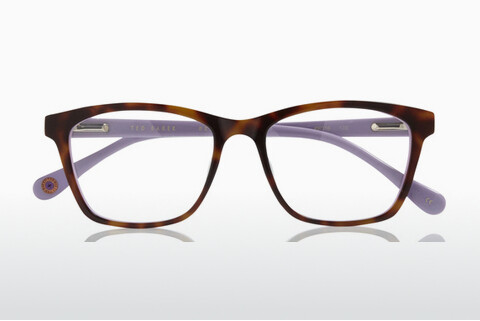 Óculos de design Ted Baker B954 719