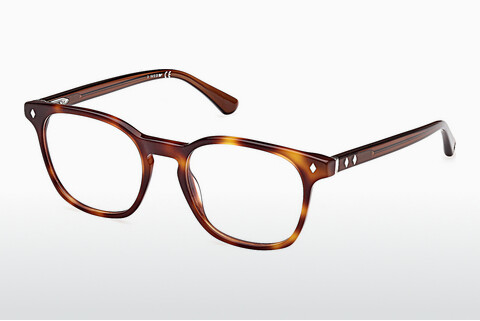 Óculos de design Web Eyewear WE5410 052