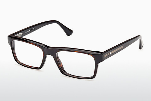 Óculos de design Web Eyewear WE5432 056