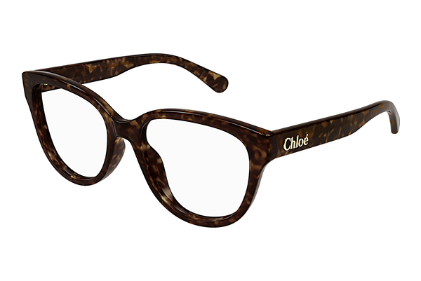 Óculos de design Chloé CH0243O 006