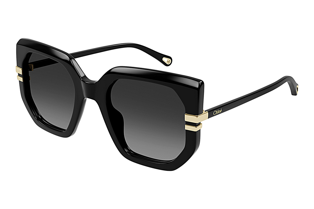 Chloé   CH0240S 001 BLACK