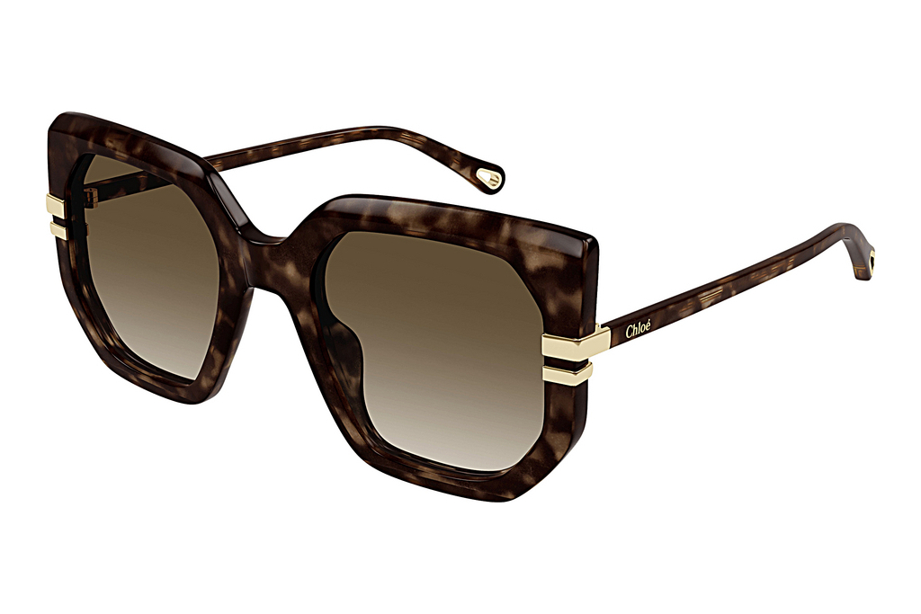 Chloé   CH0240S 002 HAVANA