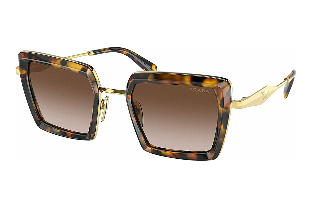 Prada   PR 55ZS VAU6S1 Brown GradientHoney Tortoise