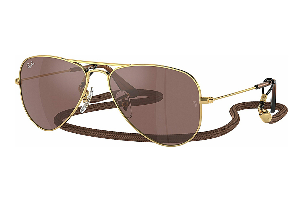 Ray-Ban Junior   RJ9506S 223/6G Brown Mirror SilverArista Gold