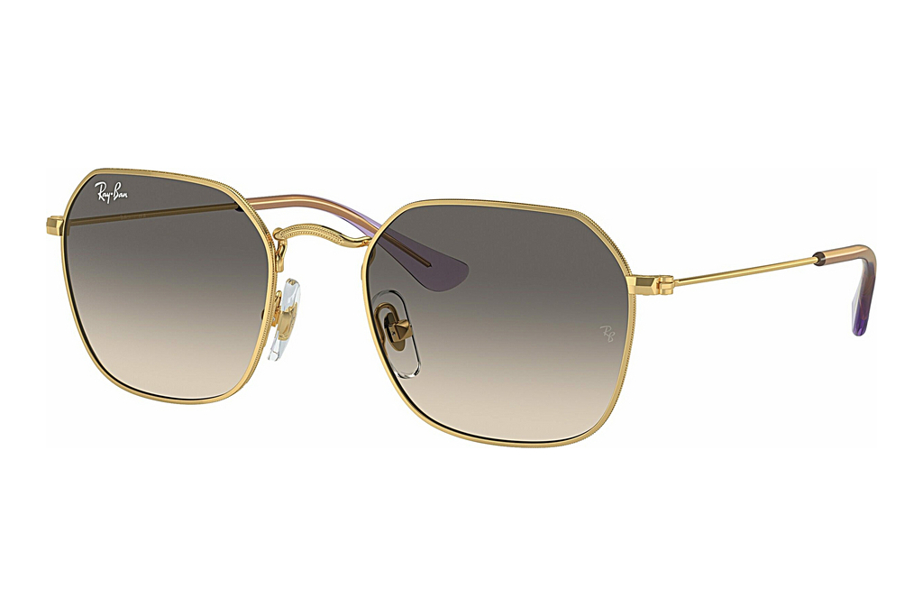 Ray-Ban Kids   RJ9594S 292/11 GreyArista Gold