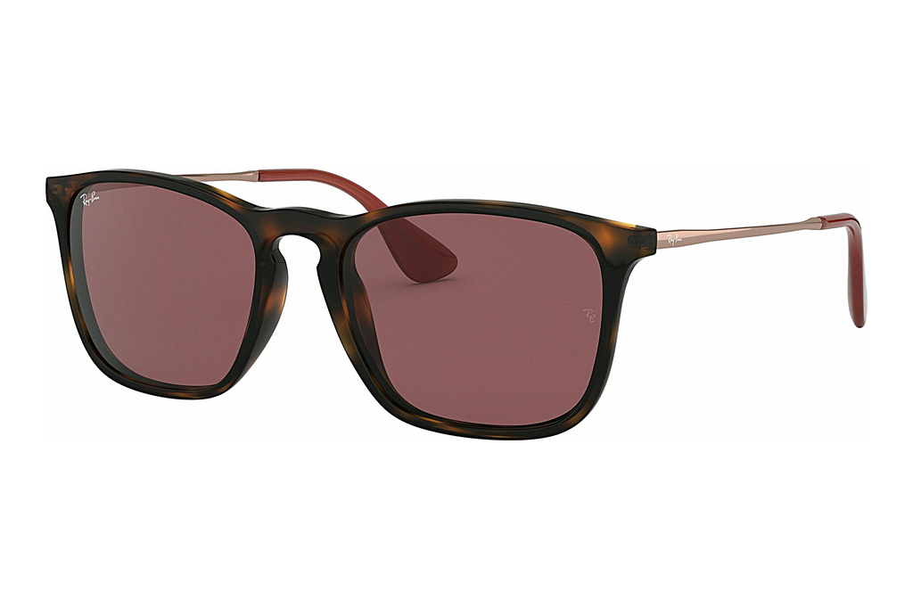 Ray-Ban   RB4187 639175 DARK VIOLETHAVANA