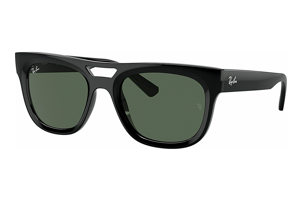 Ray-Ban   RB4426 667771 Dark GreenBlack