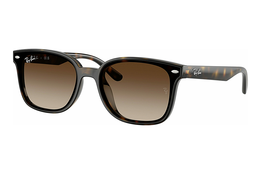 Ray-Ban   RB4461D 710/13 Gradient BrownHavana