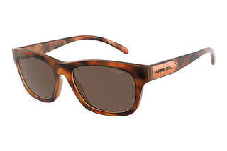 Arnette AN4284 276073
