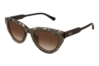 Chloé CH0294S 003 BROWN